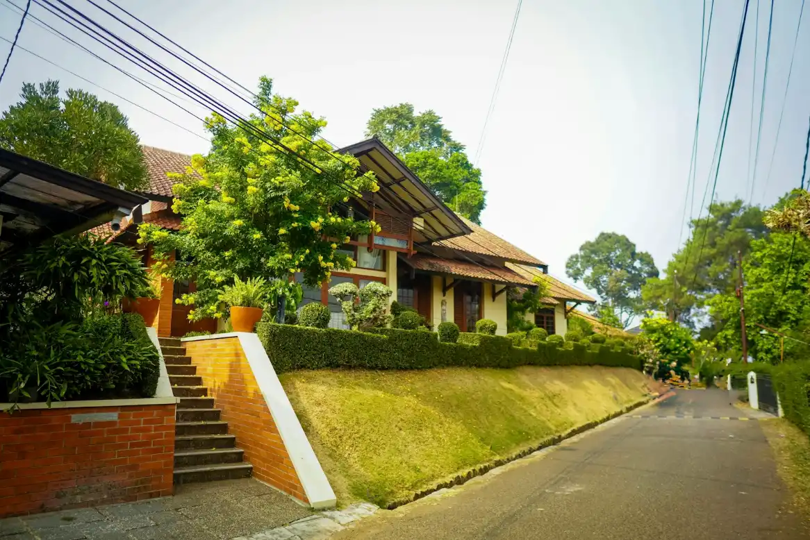 A house with a tiled roof and yellow flowering tree above a brick staircase, concrete driveway