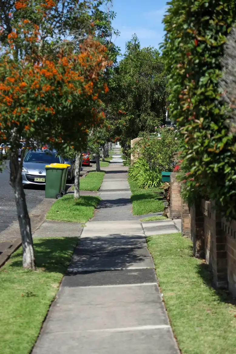 A suburban street with a concrete footpath and trees, concrete walkway in Greenville NC