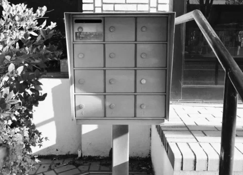 A mailbox and some greenery, brick mailbox in Chocowinity NC