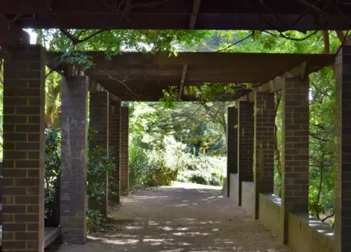 A walkway in a park lined with trees, concrete driveway in Greenville NC
