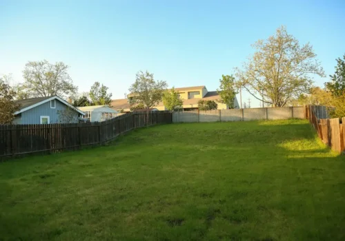 Wood privacy fence around a wide backyard lawn